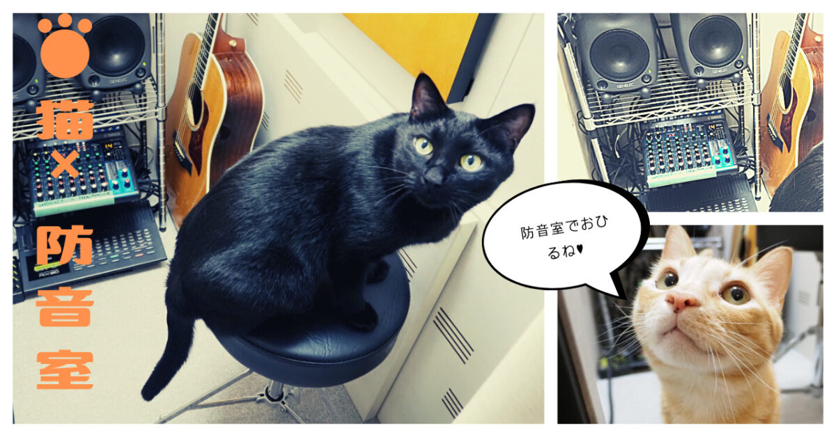 ねこ×防音室 Vol.1 ネコは吸音材となるか!? | MIKI MUSIC DESIGN+