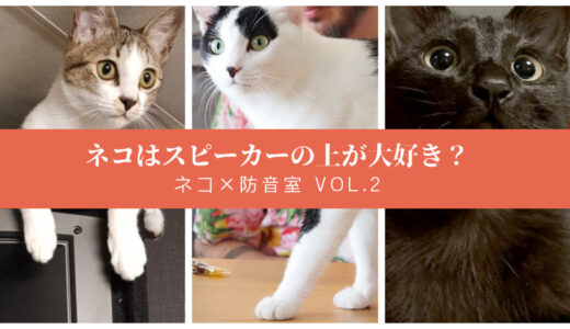 ねこ×防音室 Vol.2「ネコはスピーカーの上が大好き？」