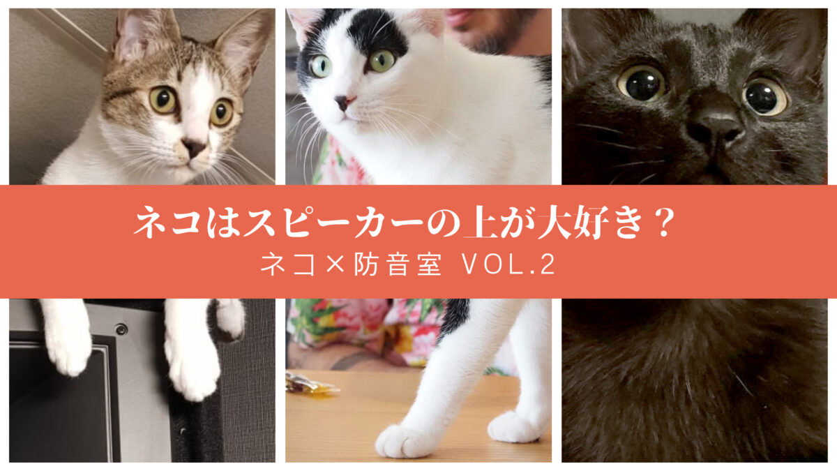 ねこ×防音室 Vol.2 ネコはスピーカーの上が大好き？ | MIKI MUSIC DESIGN+