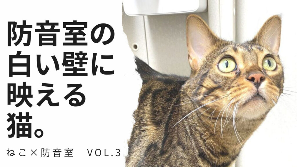 ねこ×防音室 Vol.3 防音室の白い壁に映えるベンガル猫ちゃん | MIKI