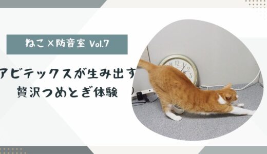 ねこ×防音室 Vol.7 アビテックスが生み出す 贅沢つめとぎ体験