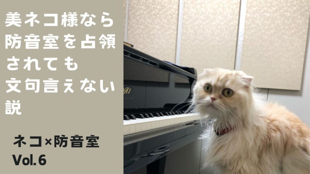 ねこ×防音室 Vol.6 美ネコ様なら防音室を占領されても文句言えない説 | MIKI MUSIC DESIGN+