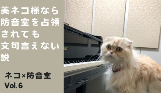 ねこ×防音室 Vol.6 美ネコ様なら防音室を占領されても文句言えない説