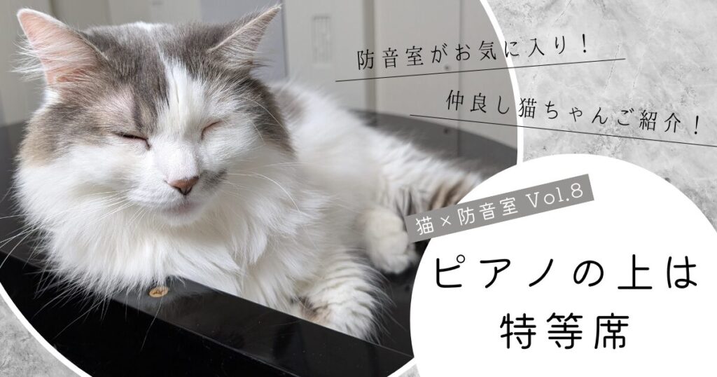 ねこ×防音室 Vol.8 ピアノの上は特等席 | MIKI MUSIC DESIGN+