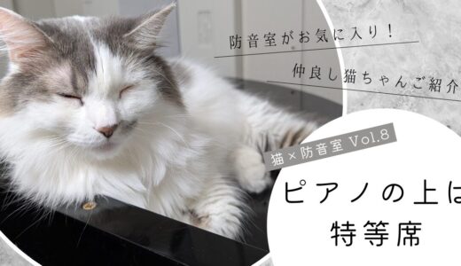 ねこ×防音室 Vol.8 ピアノの上は特等席